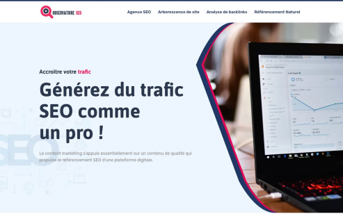 https://www.observatoire-seo.fr